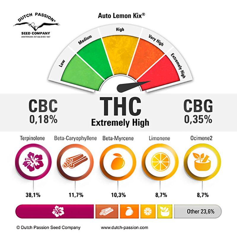 Lemon Kix Auto, Фасовка: 3, изображение 6